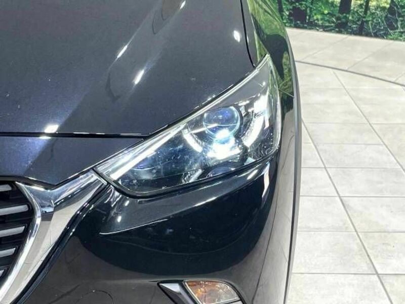 CX-3-11