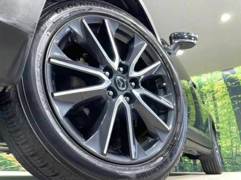 CX-3-12