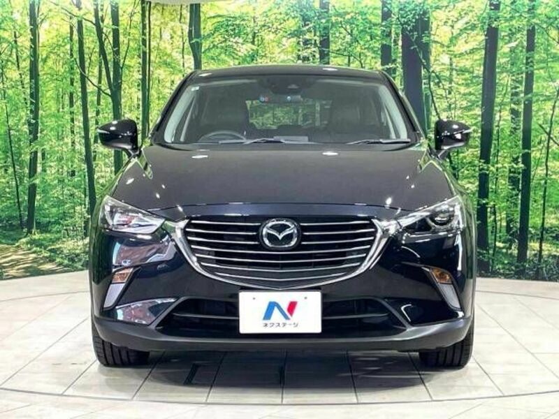 CX-3-13