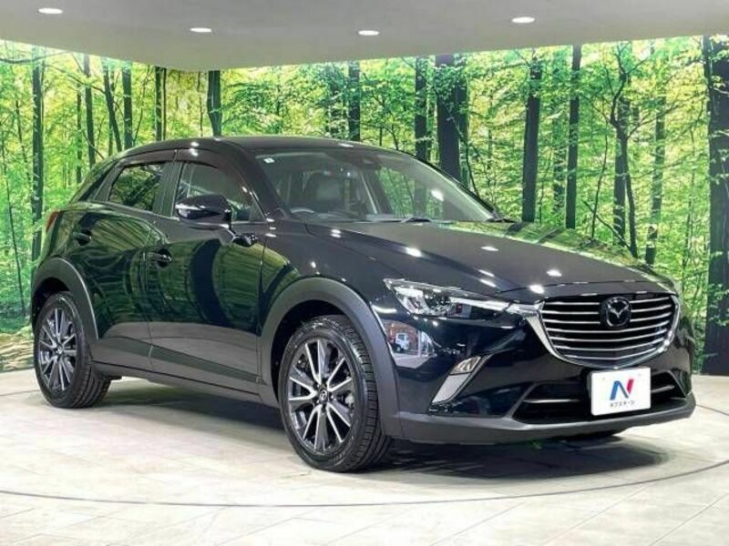 CX-3-15