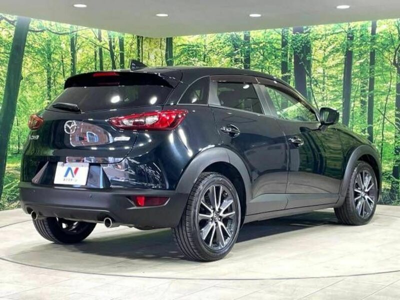 CX-3-16