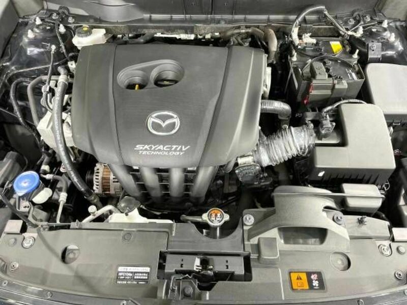 CX-3-17