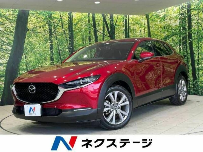 CX-30