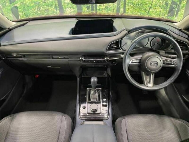 CX-30