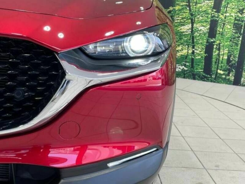 CX-30
