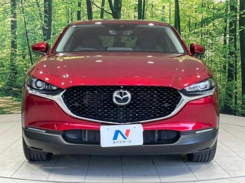 CX-30