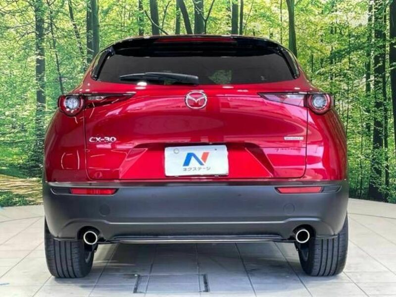 CX-30