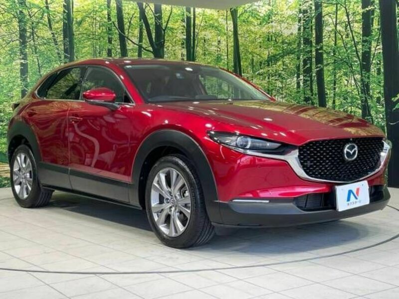 CX-30