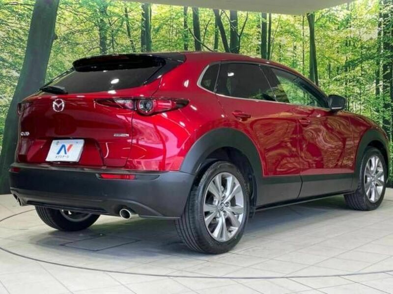 CX-30