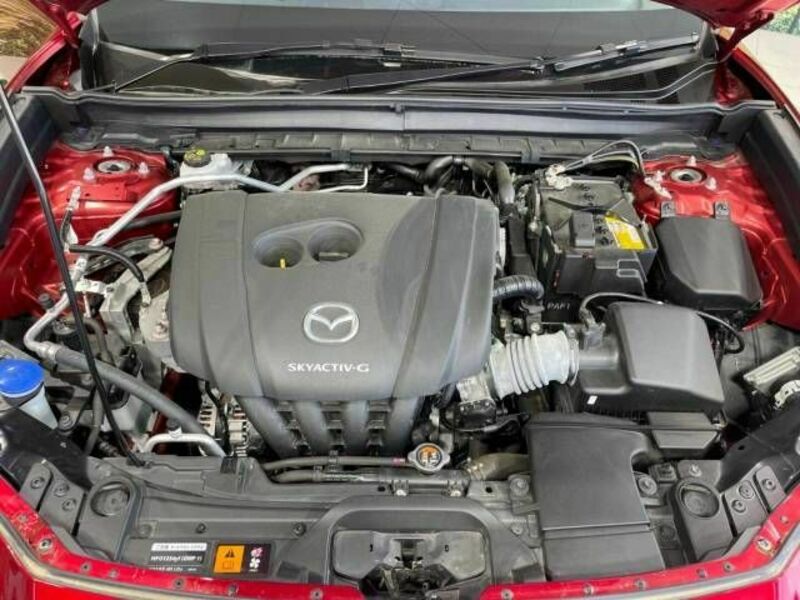 CX-30