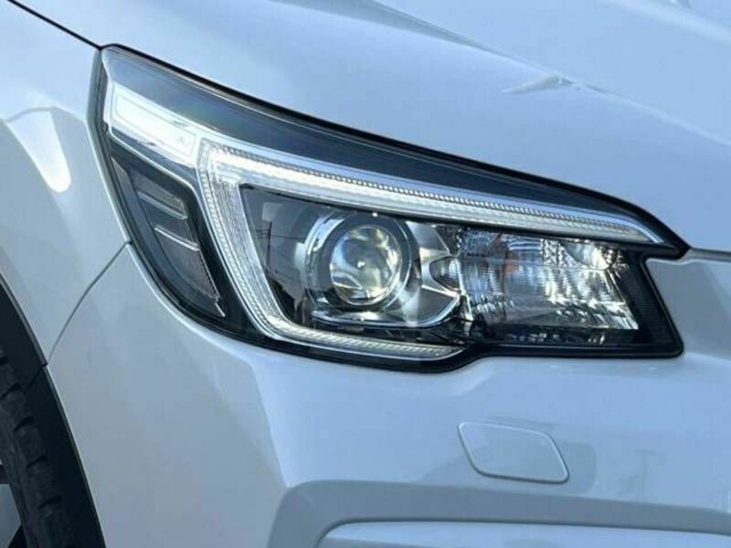 FORESTER-11