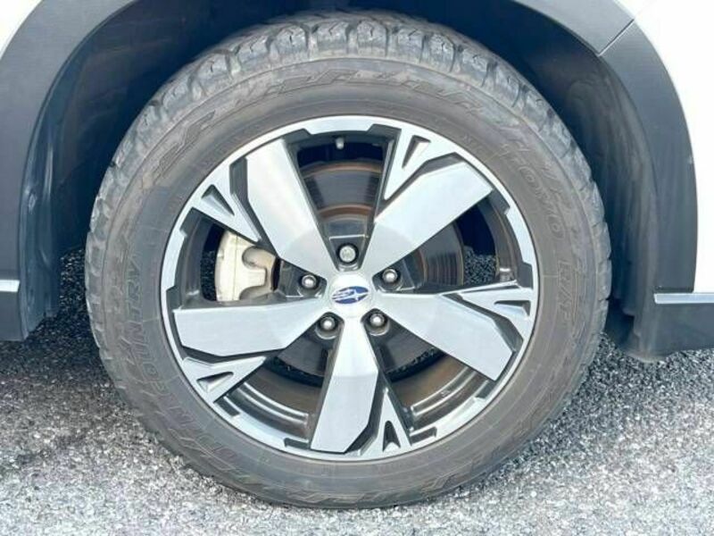 FORESTER-12