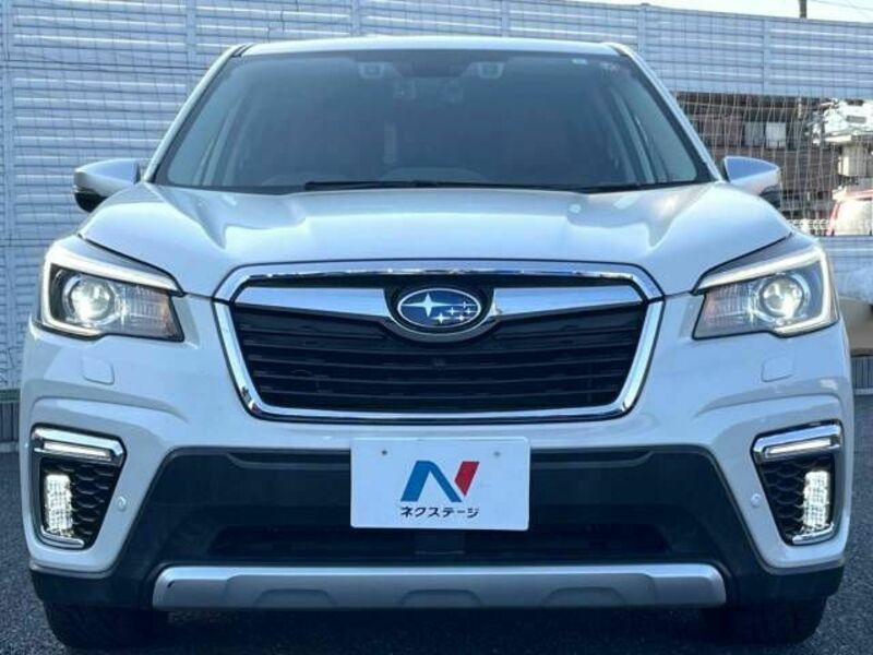 FORESTER-13