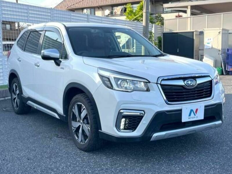 FORESTER-15