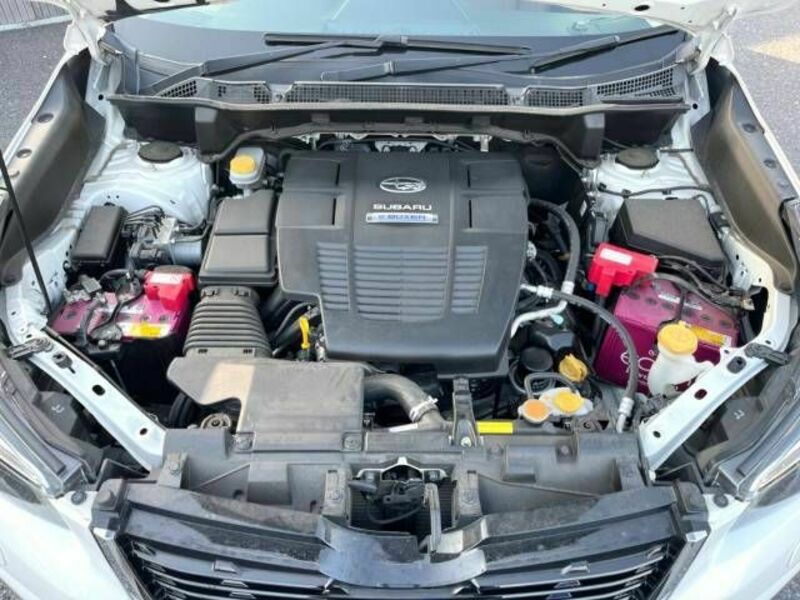 FORESTER-17