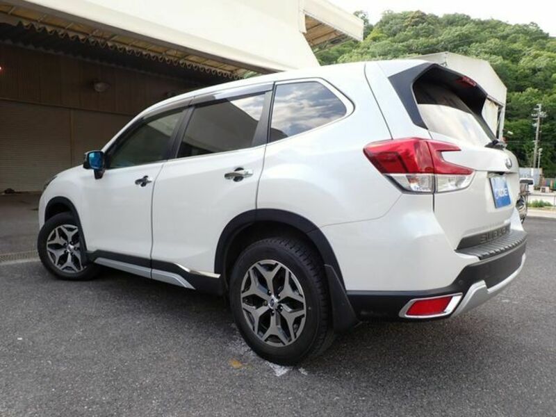 FORESTER-2
