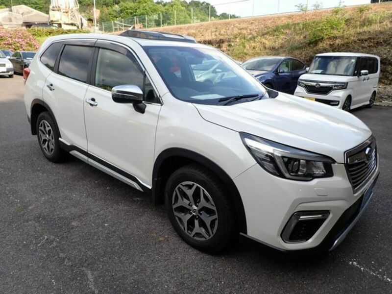 FORESTER-3