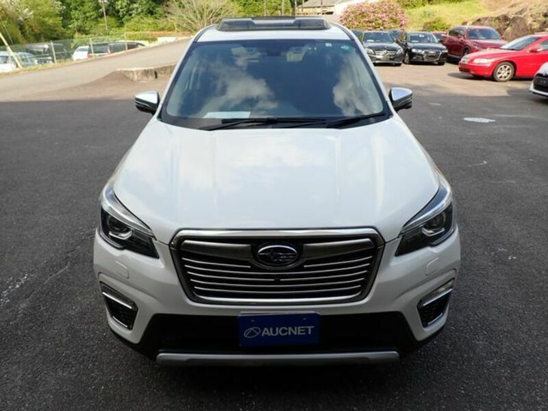 FORESTER-4
