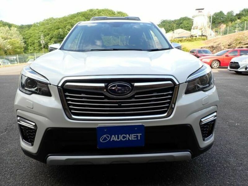 FORESTER-5
