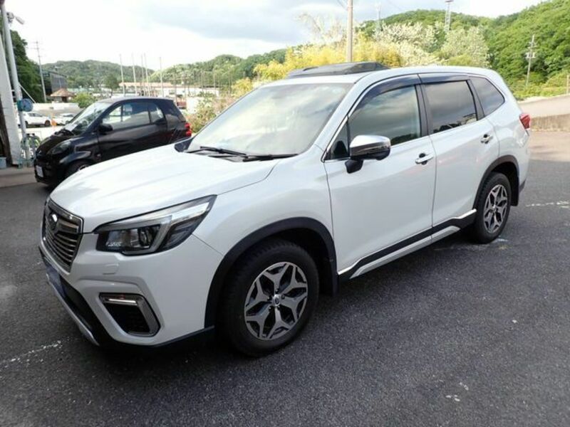 FORESTER-6
