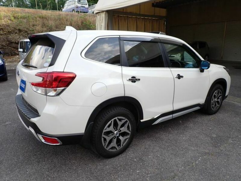 FORESTER-7