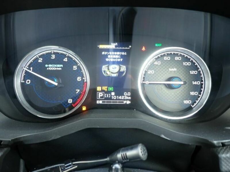FORESTER-11