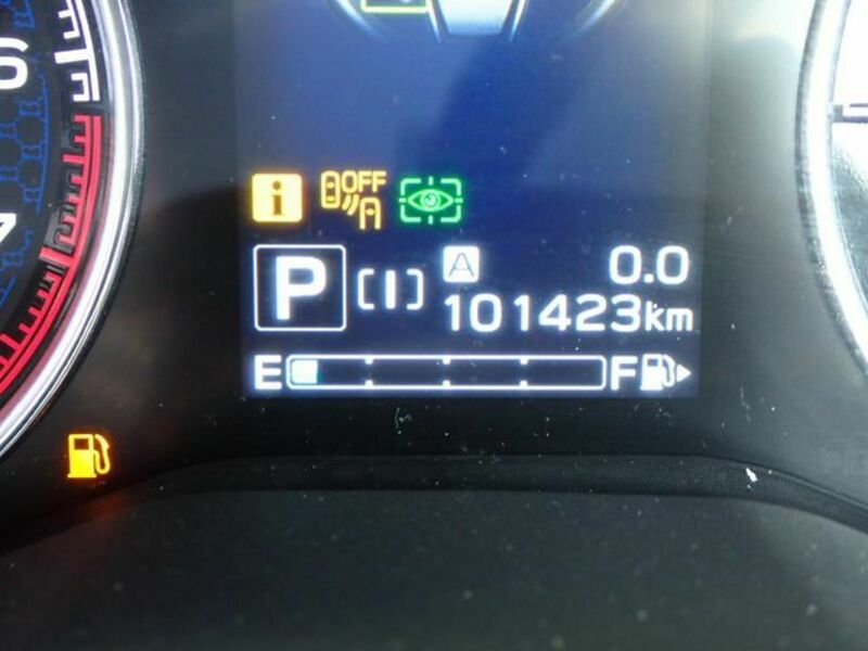 FORESTER-12