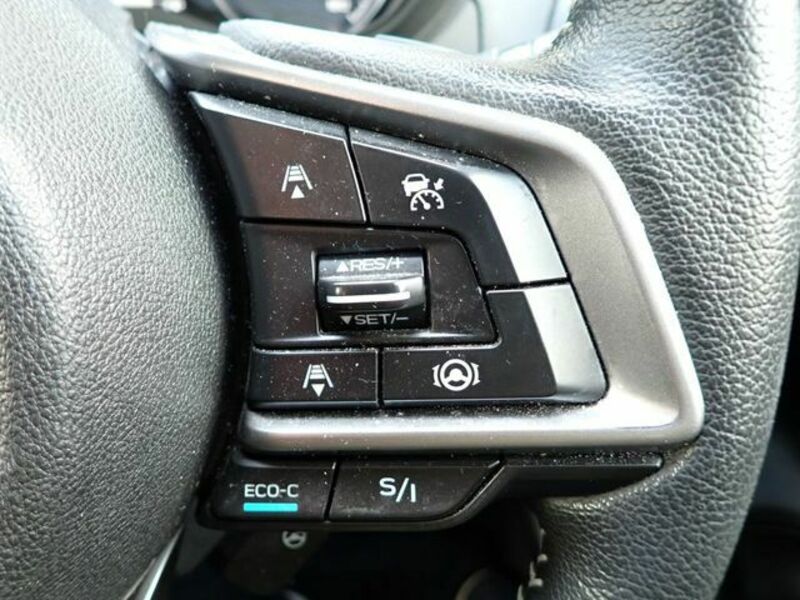 FORESTER-19