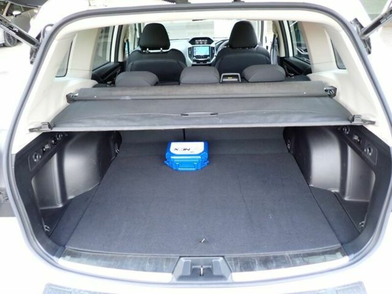 FORESTER-25