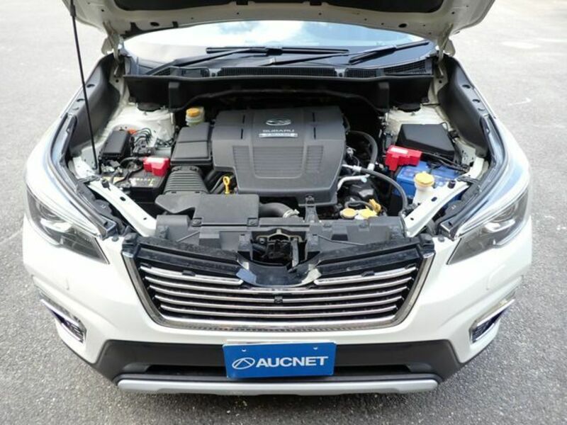 FORESTER-27