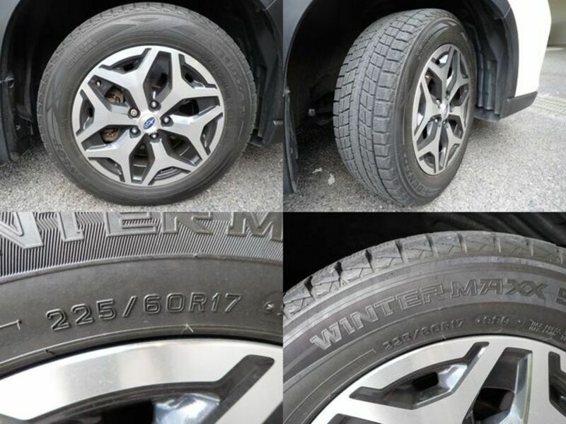 FORESTER-28