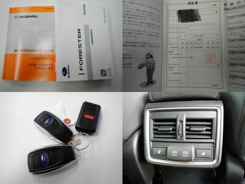 FORESTER-29