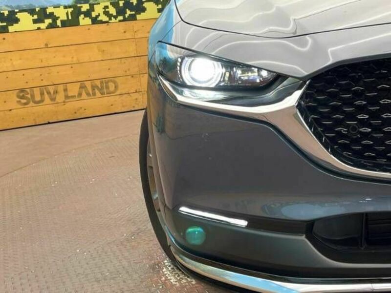 CX-30