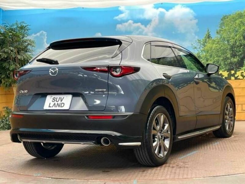 CX-30