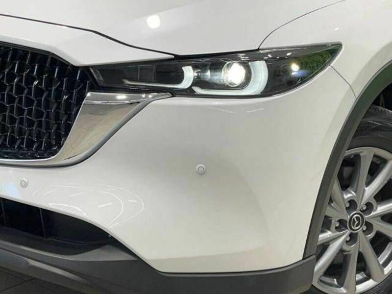 CX-8