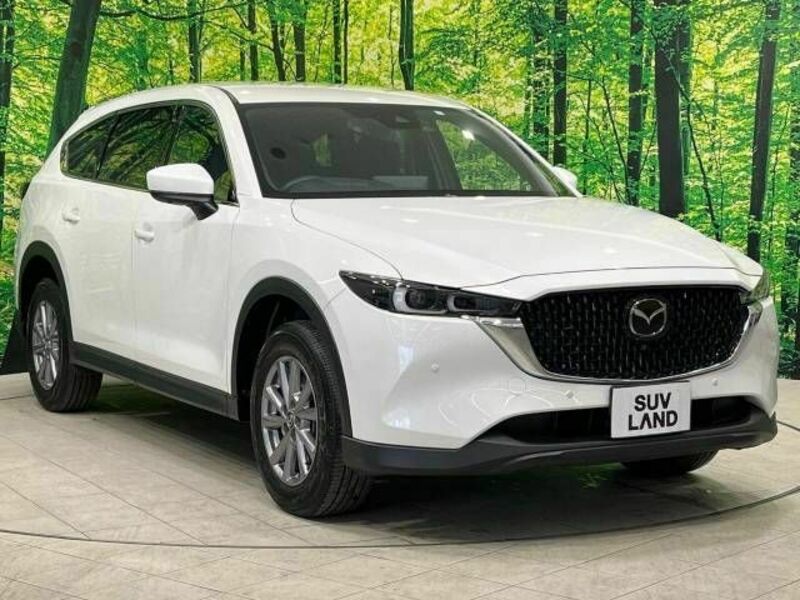 CX-8
