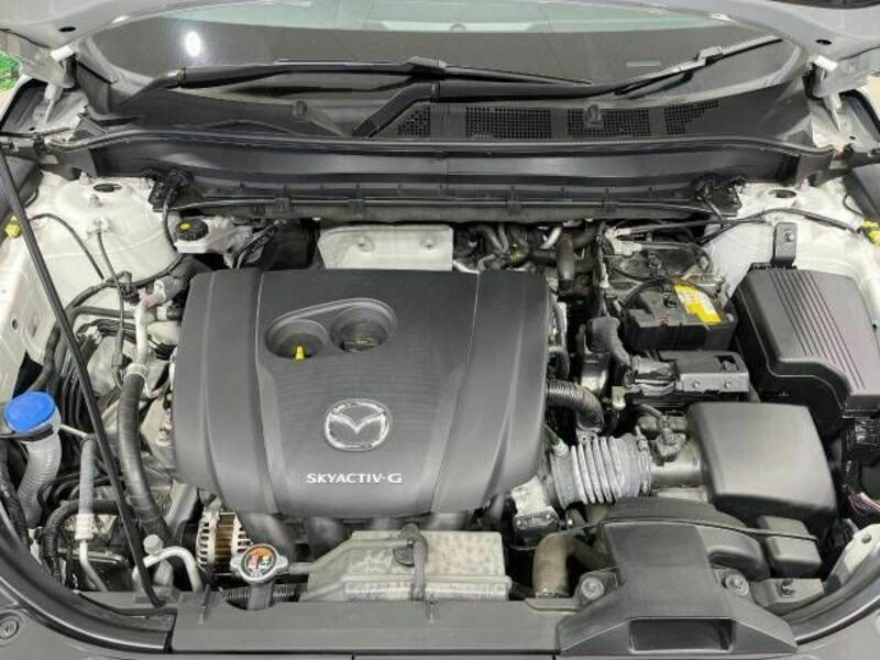 CX-8