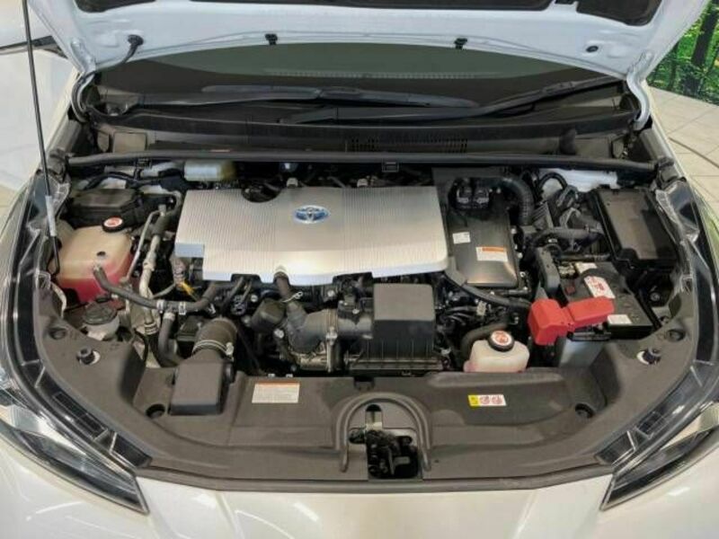 PRIUS-17