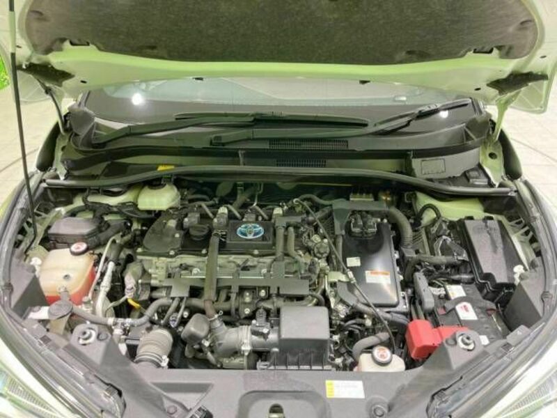 C-HR-18