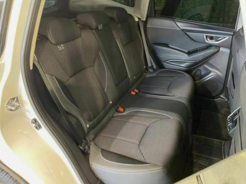 FORESTER-8