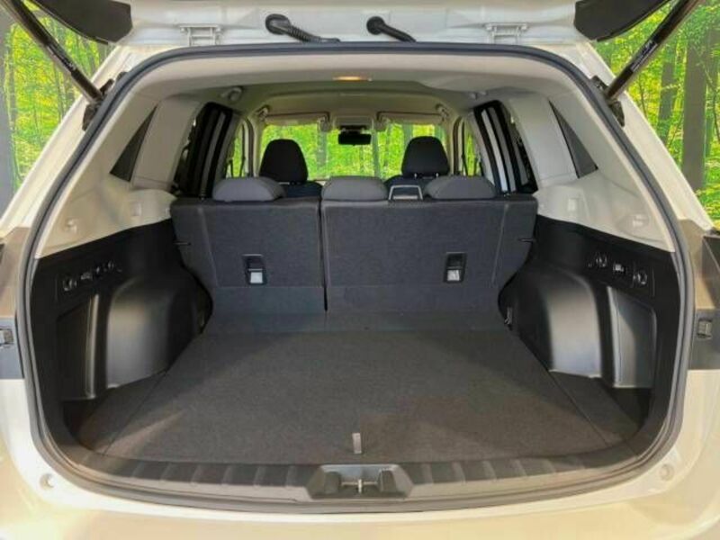 FORESTER-9