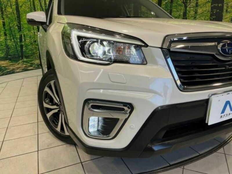 FORESTER-11