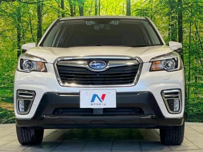 FORESTER-13
