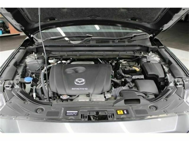 CX-5-17