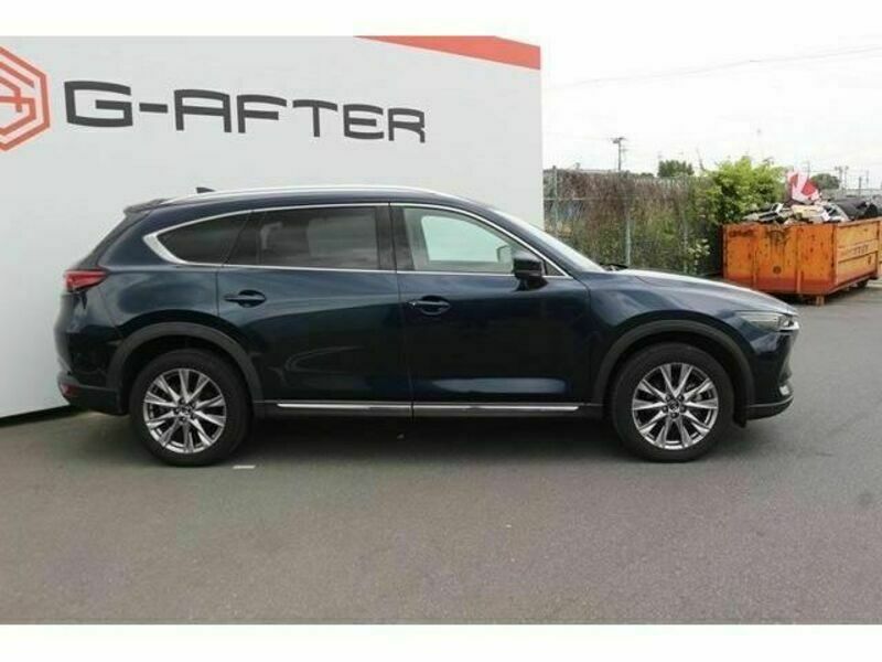 CX-8-6