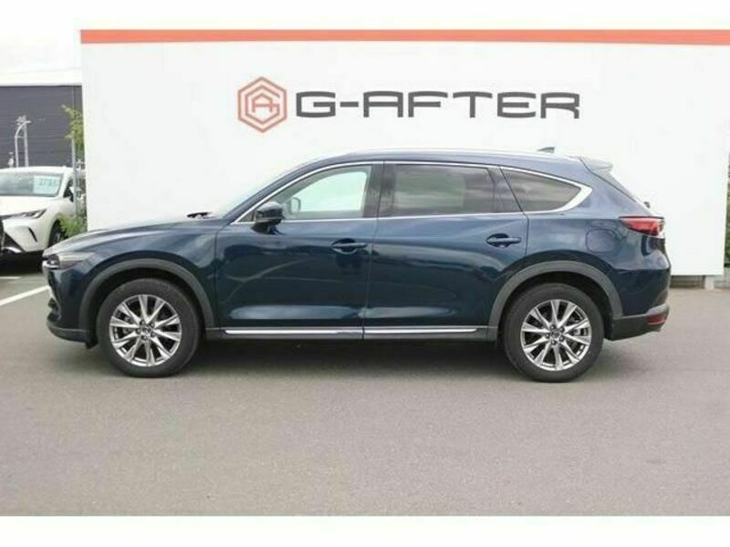 CX-8-8