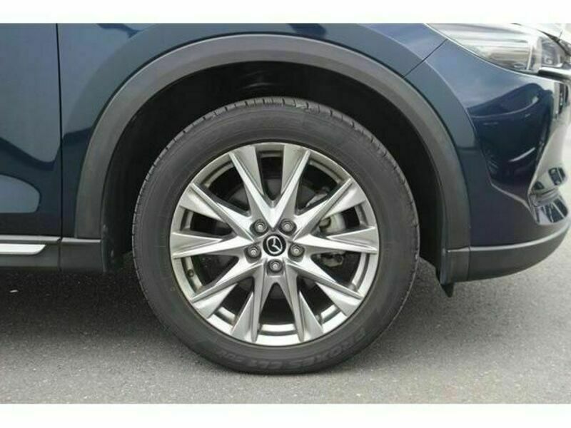 CX-8-11