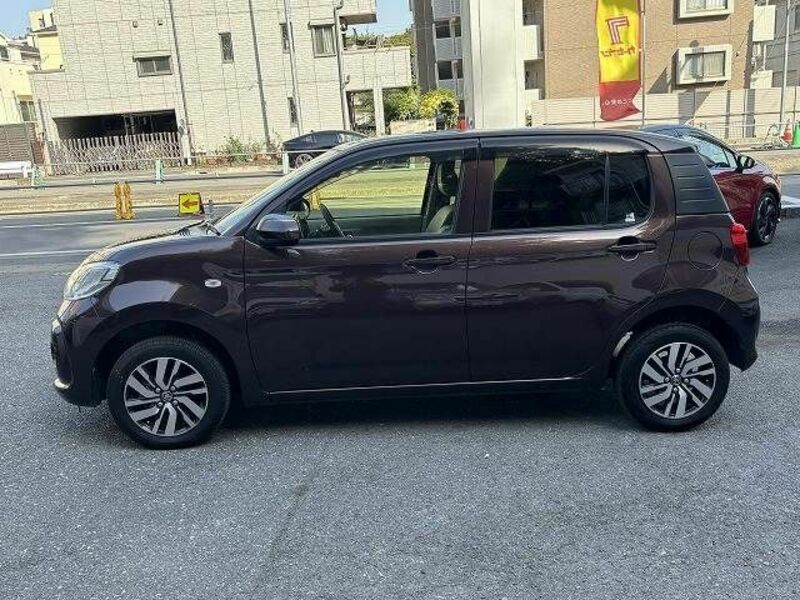 PASSO-19
