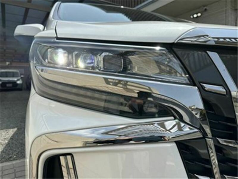 ALPHARD-10