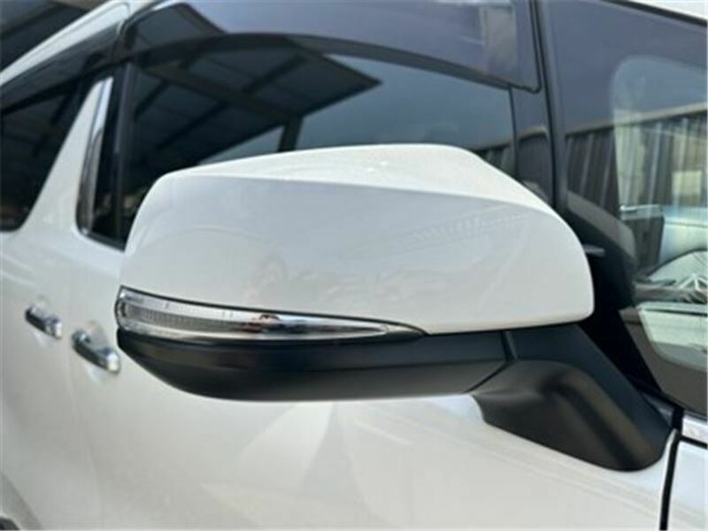ALPHARD-11